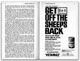 1966 Page 24 25